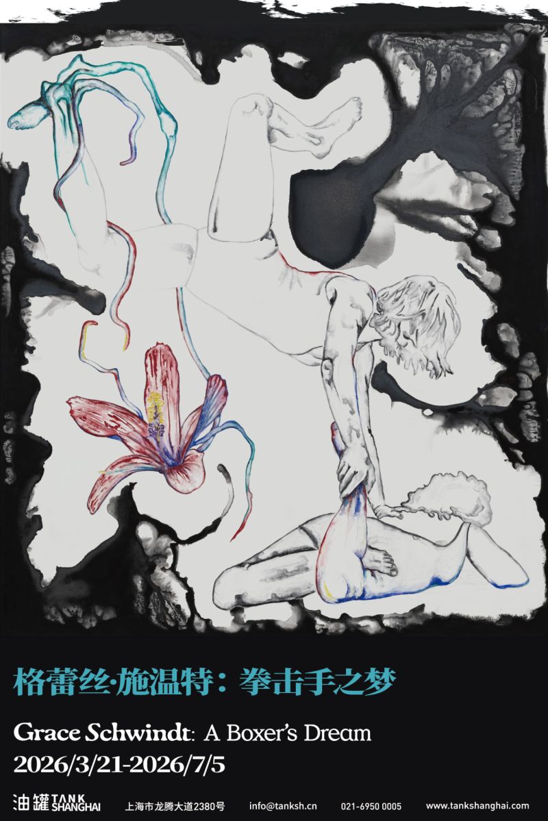 Grace Schwindt: A Boxer's Dream