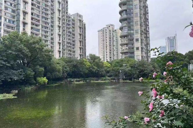 Super nice compound Top Of City modern cozy 1 br 15.8K M2/12/13 Nanjing (W) Rd.
