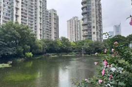 Super nice compound Top Of City modern cozy 1 br 15.8K M2/12/13 Nanjing (W) Rd.