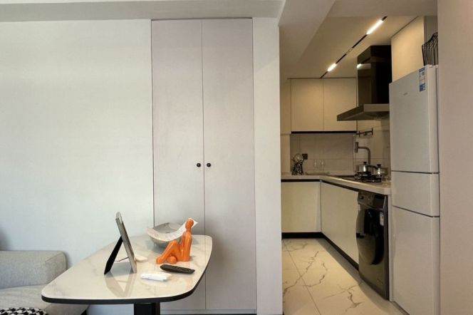 Modern&Cozy Elevator 1Bdr 1Bath Apt+Jing An Temple Metro+Large Closet