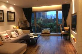 Modern 2brs with good view in Lujiazui area