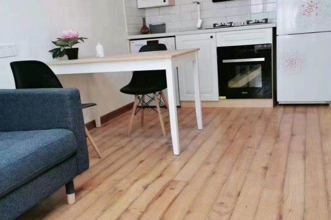 Bright 1Br/1Lr/1Bt apt nr Shanghai library,M10/11