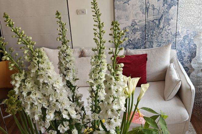 Garden house@3brs&2baths with balcony on West Nanjing Road