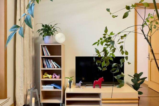 Cozy 2brs@elevator near Madang Road