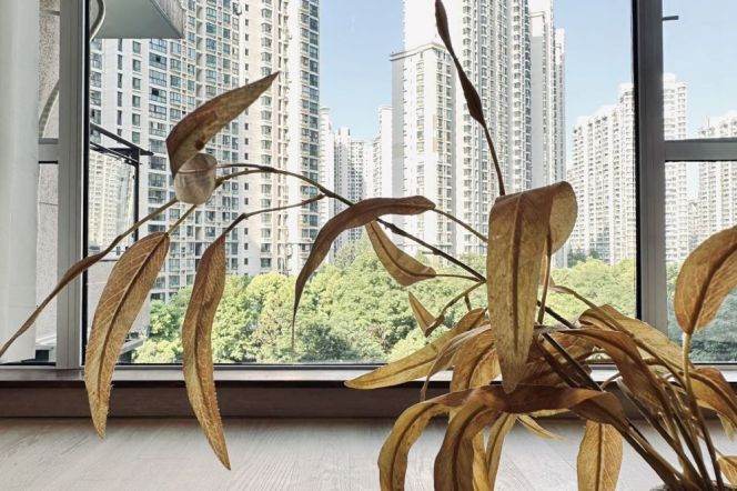 Forest Compound/Line 3/4/7 MT/Suzhou Creek/Elevator/Open Balcony/Bathtub/Large Storages/Cozy3br2bt