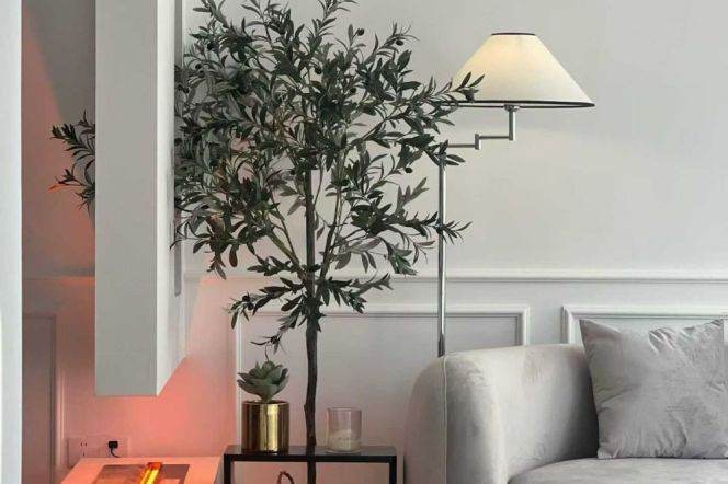 jiaotong uni elevator 2BR/big living room@L10/11