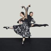 Flamenco Dance Spectacle: Querencia