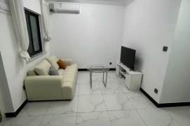jiangsu rd elevator 1BR/big living room@L2/11