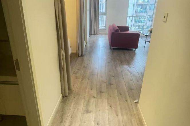 West Nanjing rd elevator 1+1BR apartment