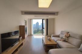 West Nanjing rd elevator 2BR apartment