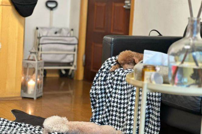 Elevator Spacious 2Br/2Lr/1Bt@L9/13 Madang Rd Station 