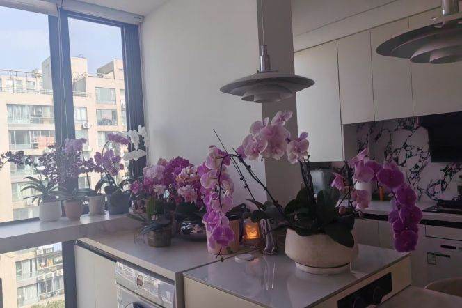 Cozy 3BR 2BA Residence w/Floor Heating nr Century Park