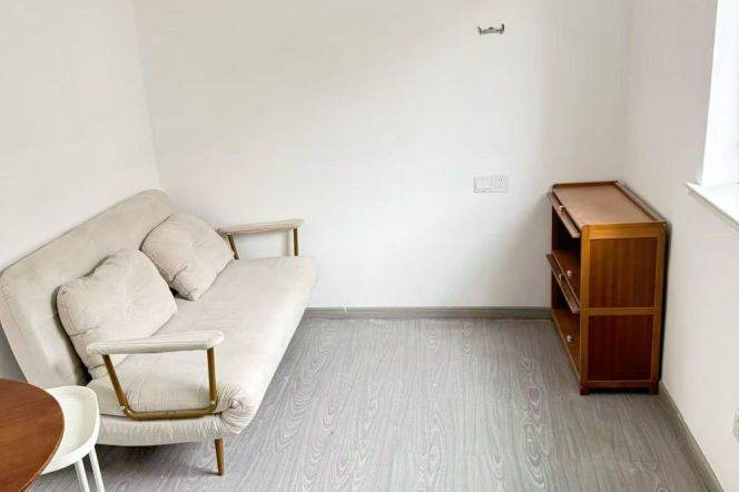 Jiaotong University 1+1BR apartment