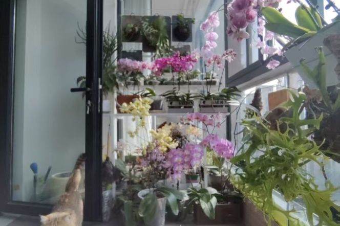 Cozy 3BR 2BA Residence w/Floor Heating nr Century Park