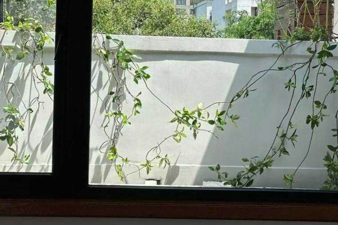 wulu muqi rd 2br150sqm with terrace