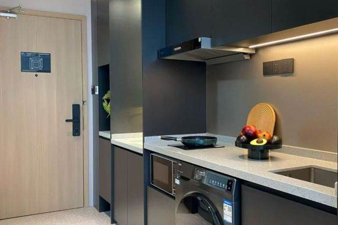 1BR near line 8 and convenient to Tong'ji University can long and short term lease