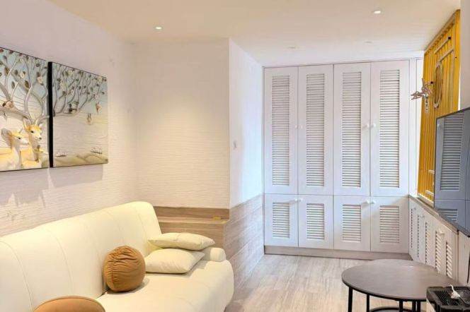 South Shanxi rd 1+1BR apartment