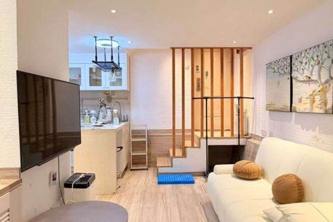 South Shanxi rd 1+1BR apartment