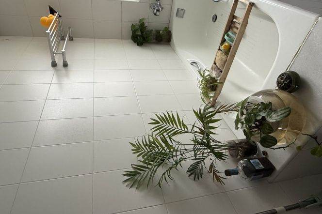 Xuhui central shared 2 bedroom apartment 