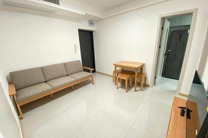 xujiahui elevator 2BR/big living room@L1/9/11