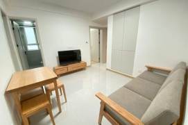 xujiahui elevator 2BR/big living room@L1/9/11