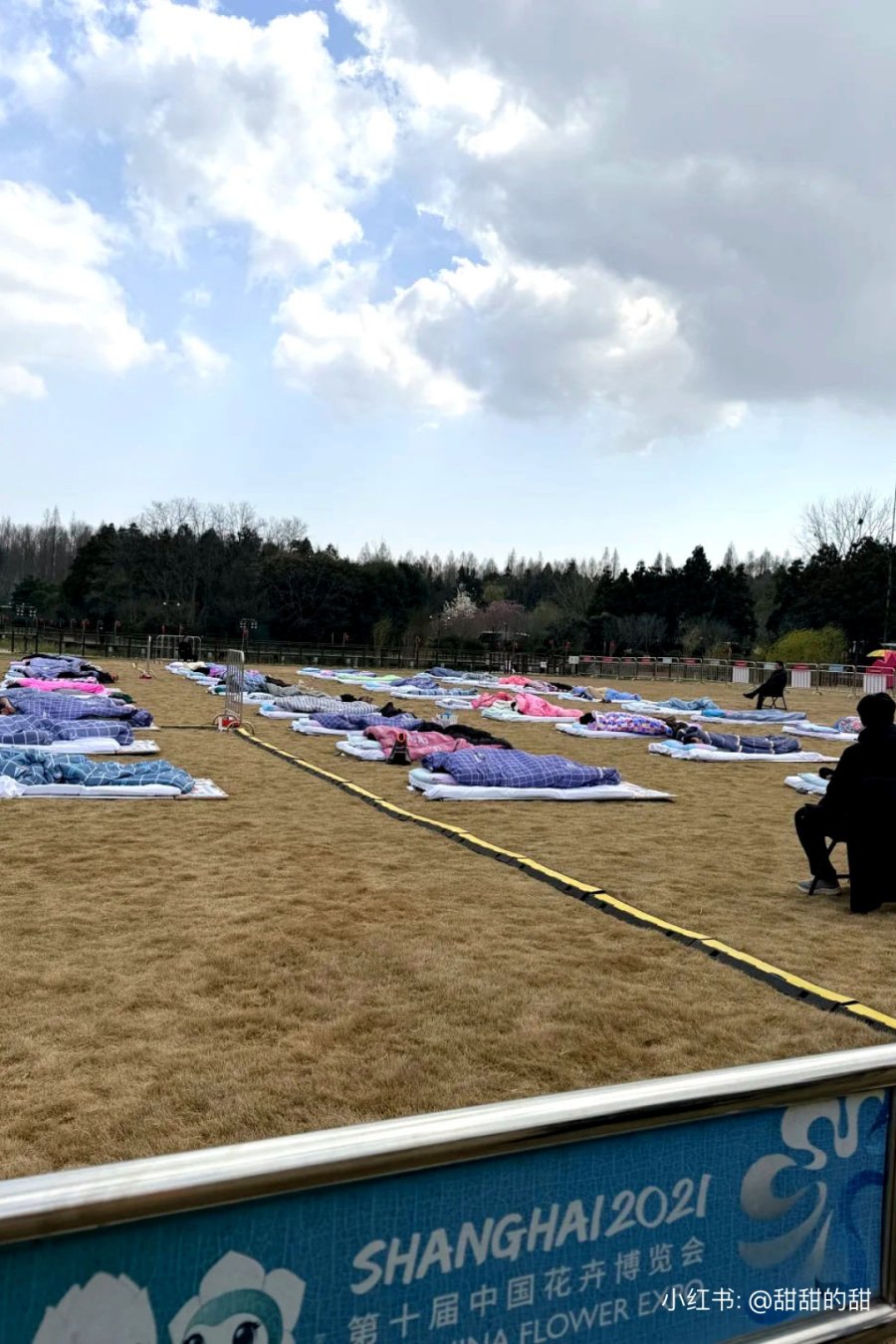 A Sleep Contest Is Happening on Chongming Island