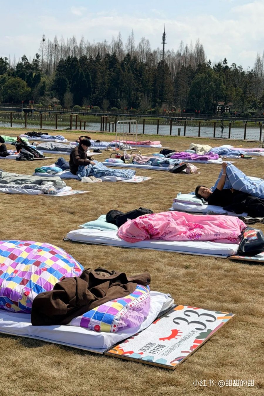 A Sleep Contest Is Happening on Chongming Island