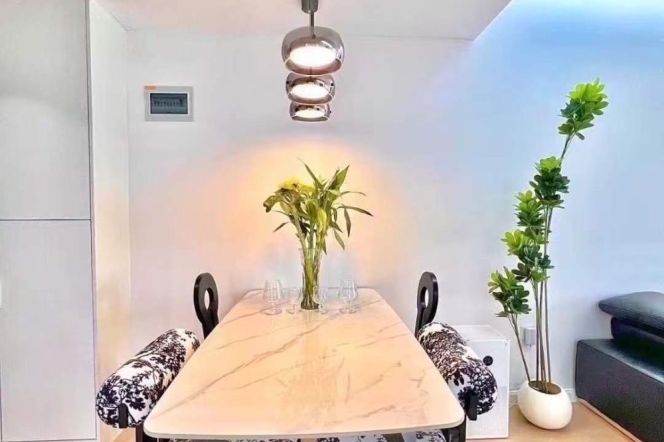 Loushanguan Rd Station Elevator 1Br Line2/15