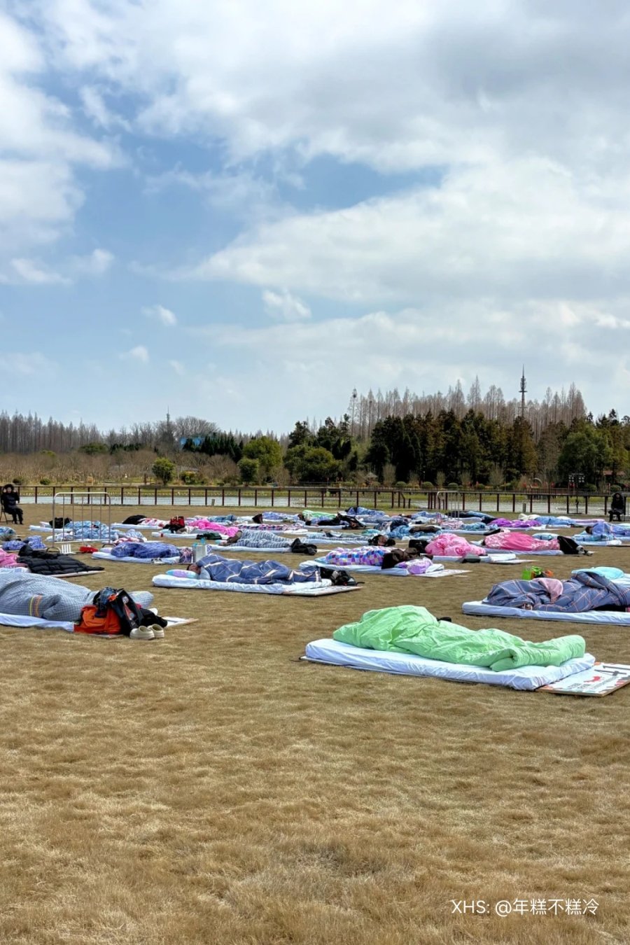 A Sleep Contest Is Happening on Chongming Island