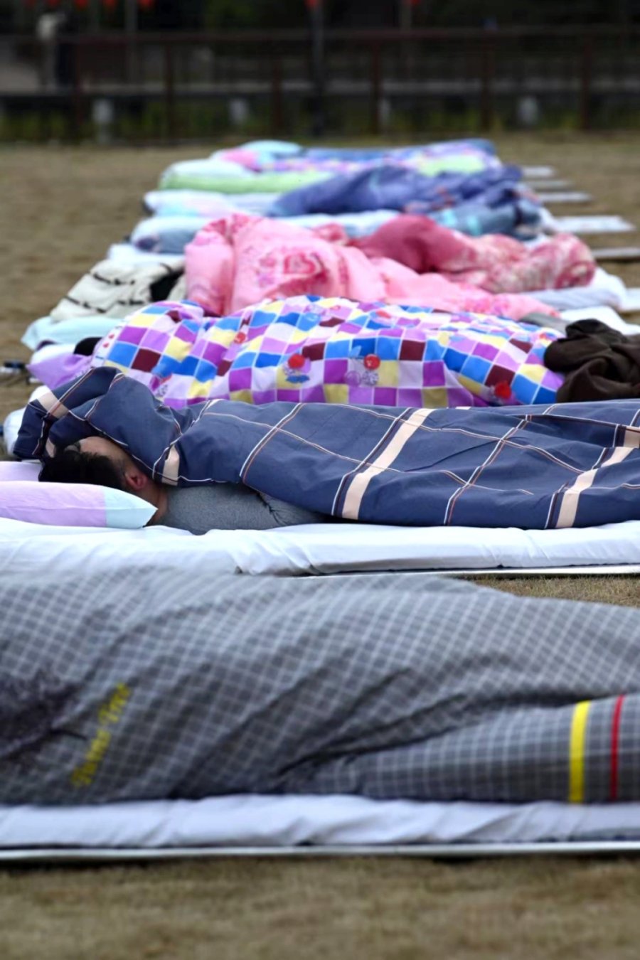 A Sleep Contest Is Happening on Chongming Island
