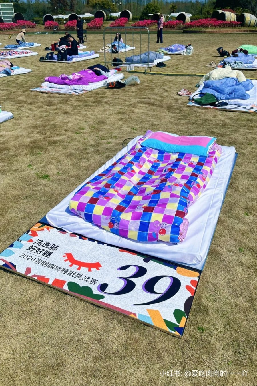 A Sleep Contest Is Happening on Chongming Island