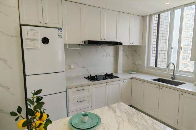 Bright 1 br on High floor in XuHui, easy to L 1/12 CaoBao Rd St.