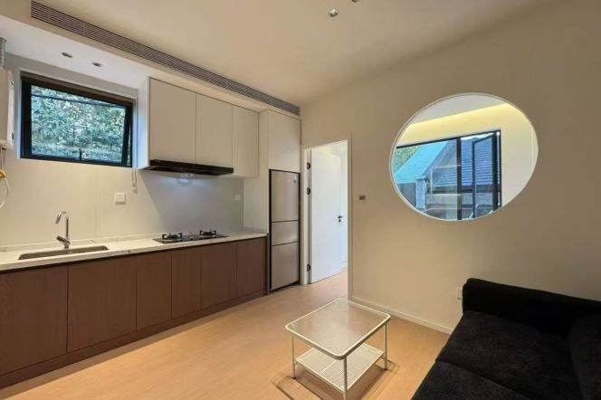 Modern 1Br/1Lr/1Bt apt nr West nanjing rd,M2/12/13