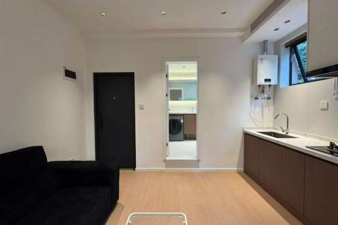 Modern 1Br/1Lr/1Bt apt nr West nanjing rd,M2/12/13