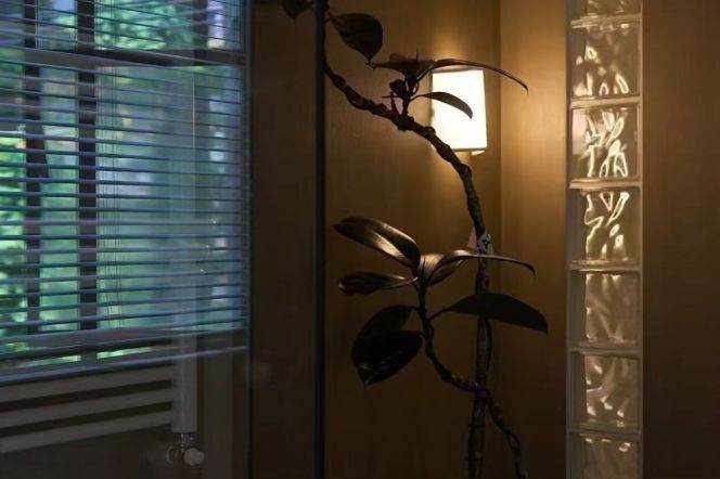 tasty design- historic value-2br 2ba 120sqm - Old Xuhui 