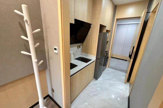 1Studio near line 1/9/11 Xujiahui and Ascendas Plaza can long and short term lease