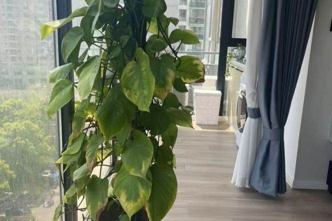 2 Brs, 2 Baths, 130 sqm, Floor Heating, Central ac, Oven @ Changping metro L7