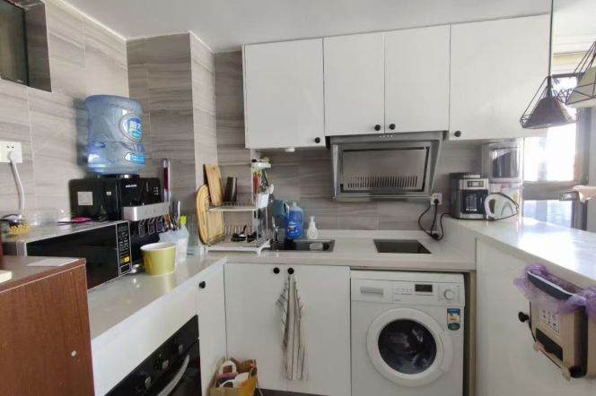 1 Big Br with Private Terrace, Oven, Dish washer, 102 sqm @ West Nanjing metro L2,12&13