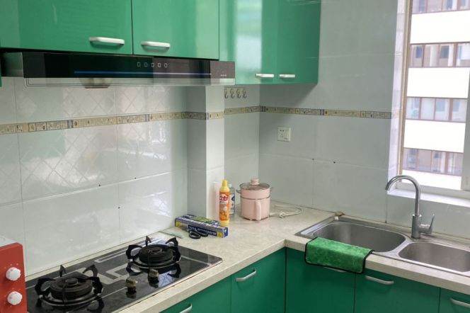 Elevator 2Brs/1Lr/1Bt apt nr Xujiahui,M1/9/11