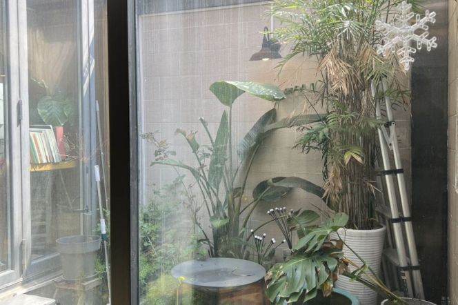 Cozy 2brs&2baths with yard near Jiaotong University