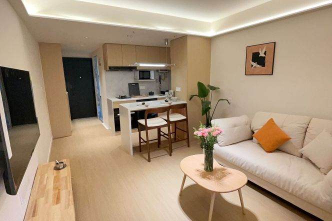 Modern&Cozy 1Br/2Lr/1Bt@L2/11 Jiangsu Rd Station 