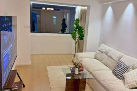 Newly Renovated Modern 1Br/2Lr/1Bt@L2/3/4 Zhongshan Park Station 