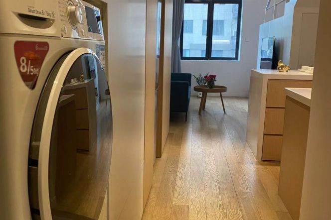 1Loft near line 9/12 Jia'shan Rd and Xujiahui can long and short term lease