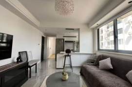 cozy 1br Apt w/flr heating Jiangsu Metro