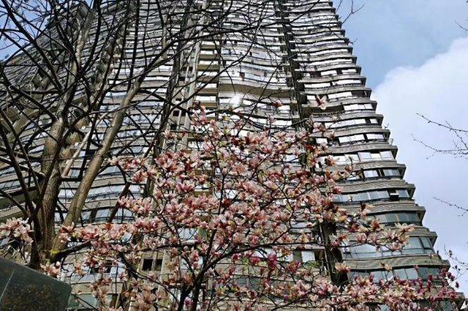 Xujiahui/Hongqiao Rd /3br2bt+nanny room/central AC/floor heat/oven