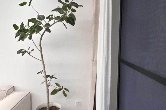 2Bedrooms with AC and floor heating near 'XuJiaHui'