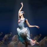 Dance Performance: Crested Ibises