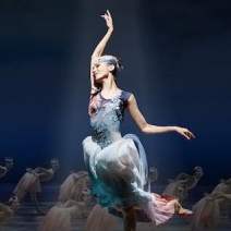 Dance Performance: Crested Ibises