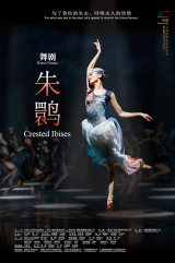 Dance Performance: Crested Ibises