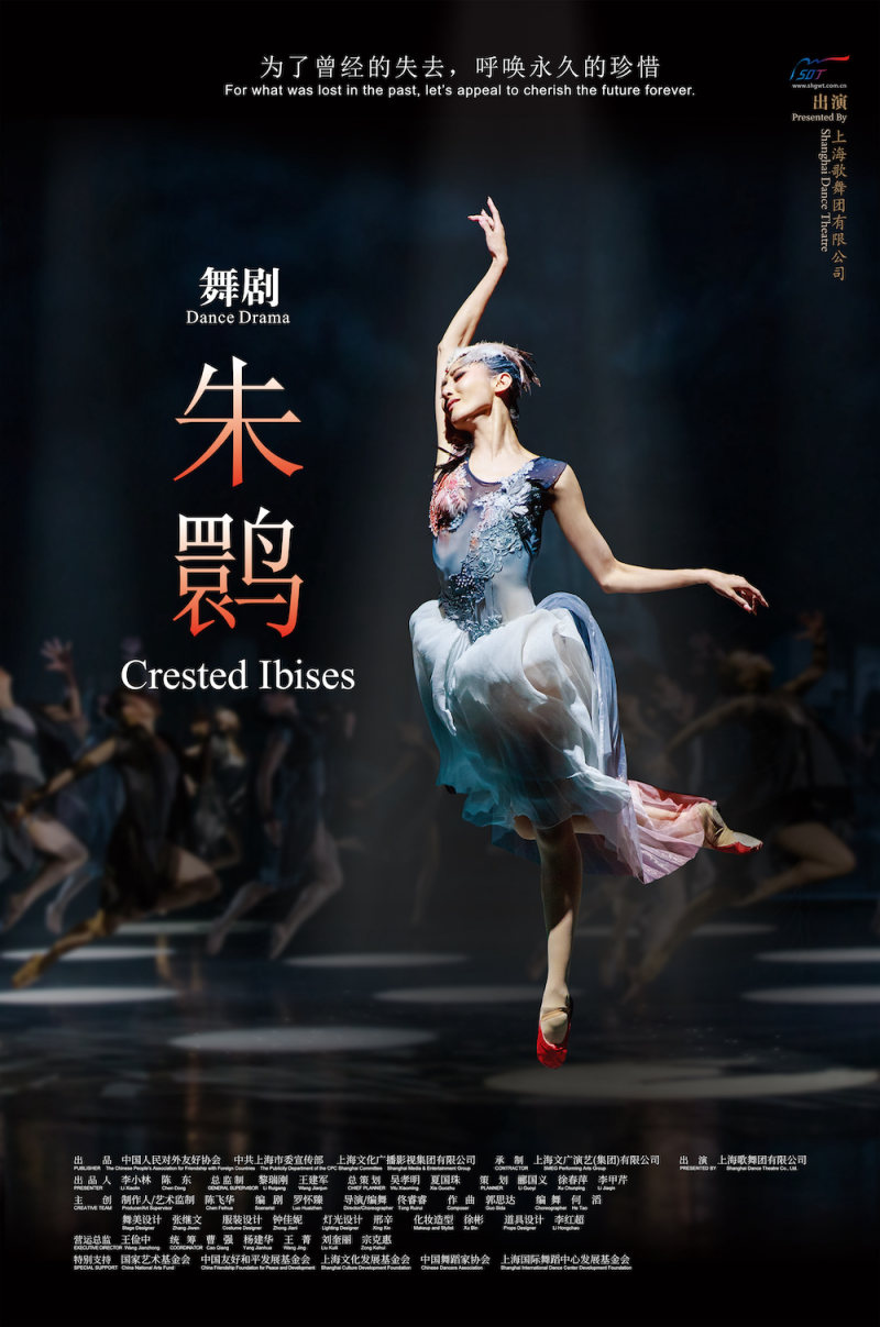 Dance Performance: Crested Ibises